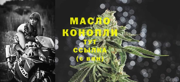 стаф Пестово