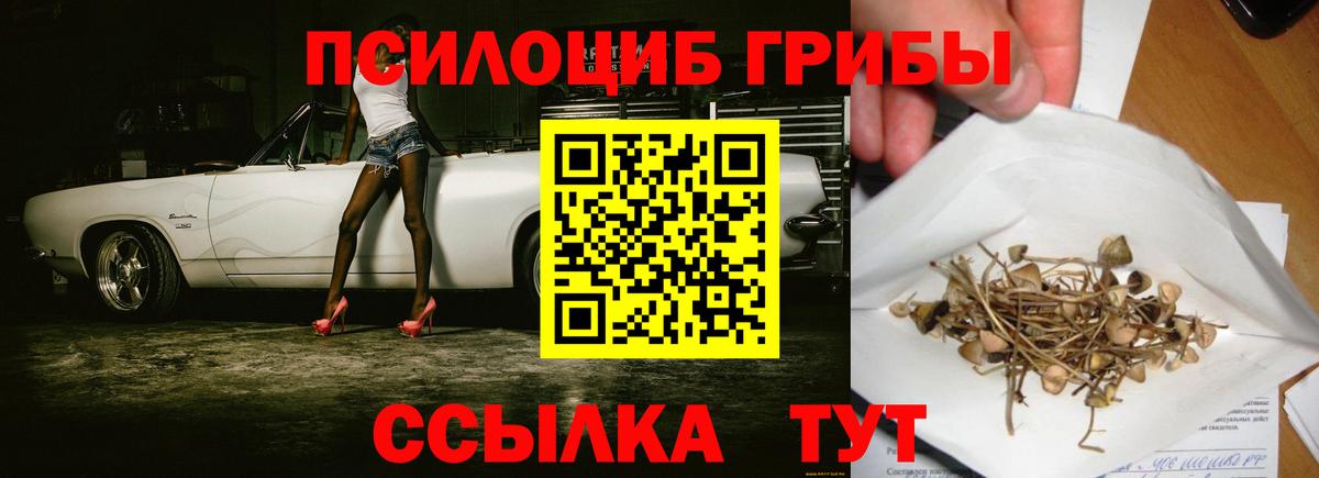 Галлюциногенные грибы GOLDEN TEACHER Звенигород