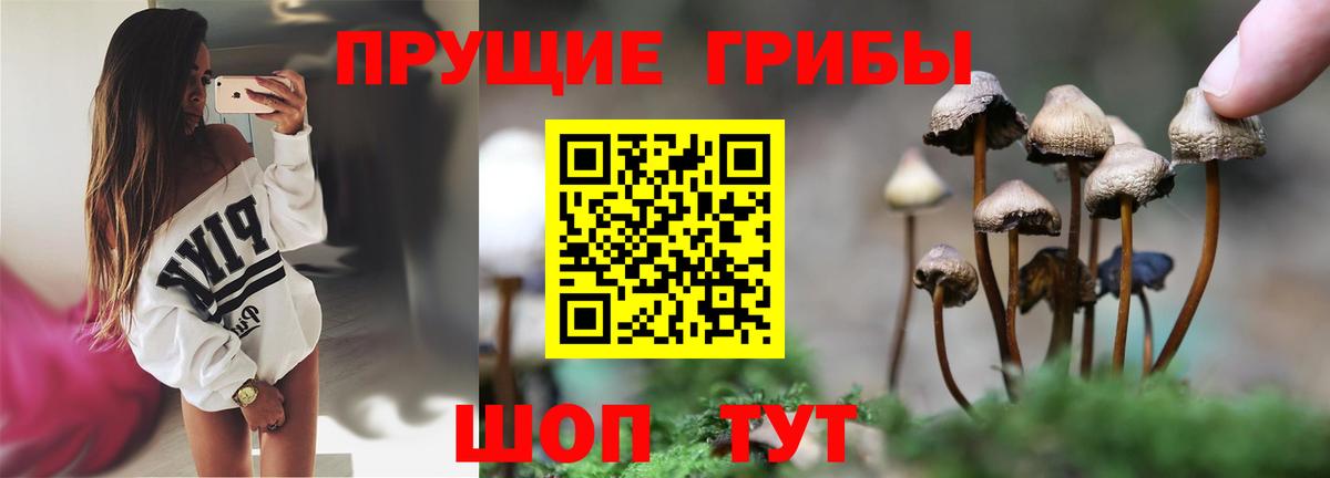Псилоцибиновые грибы мухоморы  Вход с VPN  Звенигород 